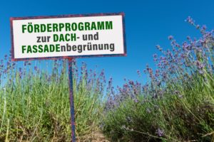 Werbetafel für Förderprogramme zur Dach- und Fassadenbegrünung