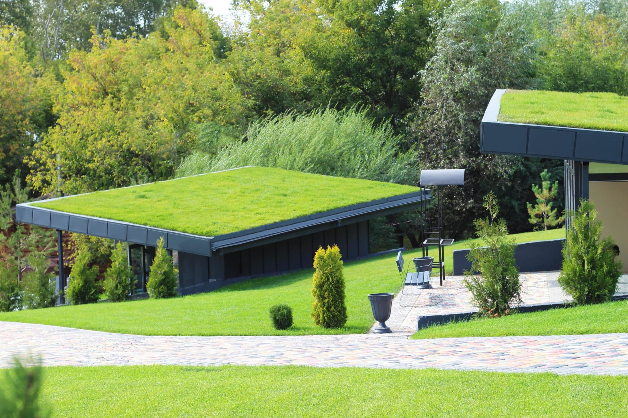 Beispiel einer extensiven Dachbegrünung auf zwei Hausdächern im Grünen