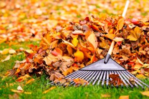 Blätter harken im Herbst und für die Flächenkompostierung nutzen