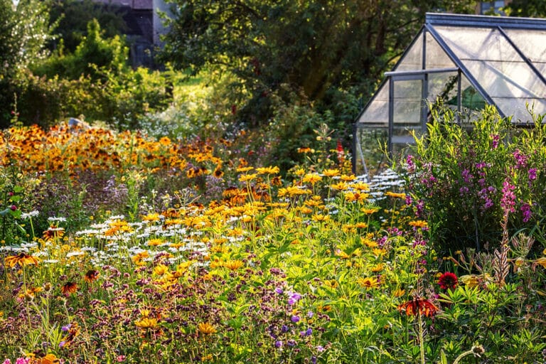 Tierfreundlicher Garten Garten tierfreundlich gestalten gartentyp